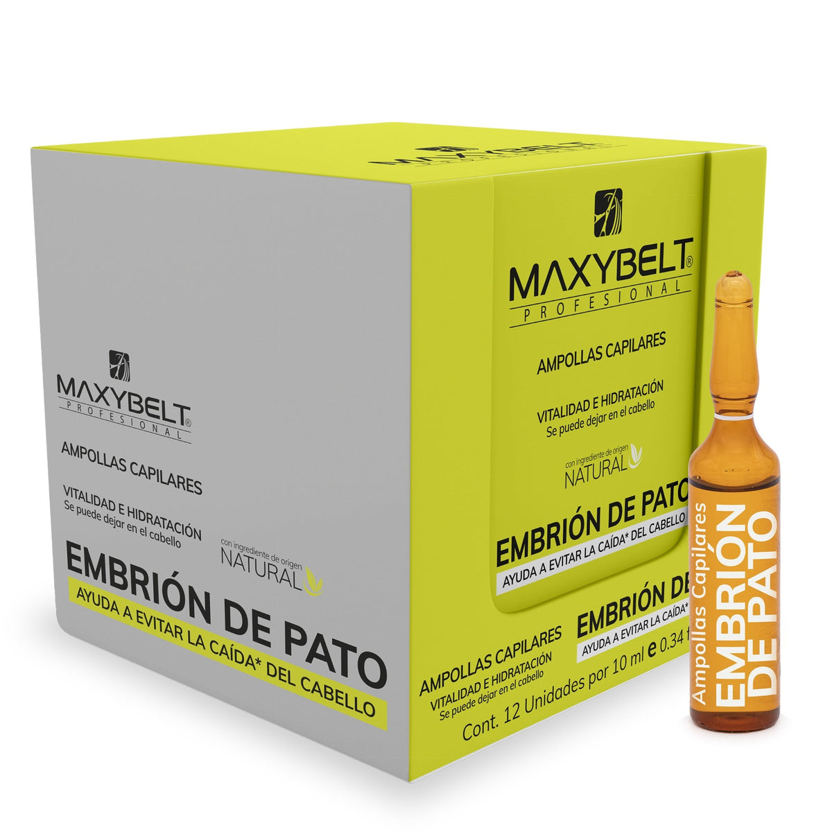 Ampolletas Maxybelt