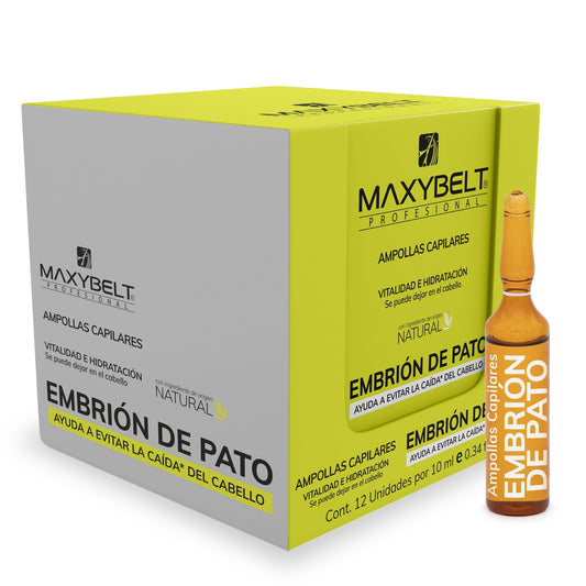 Ampolletas Maxybelt