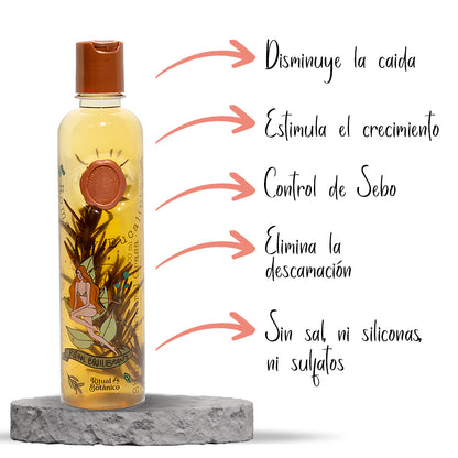 Shampoo Control Grasa con Romero y Eucalipto Ritual Botánico